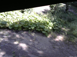 長野県菅平高原 ゆたか山荘 駐車場 2025/09/09 11:30