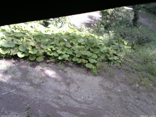 長野県菅平高原 ゆたか山荘 駐車場 2025/09/09 11:45