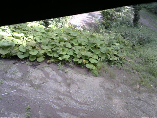 長野県菅平高原 ゆたか山荘 駐車場 2025/09/09 12:00