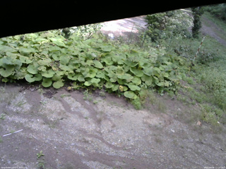 長野県菅平高原 ゆたか山荘 駐車場 2025/09/09 12:15