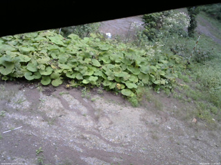 長野県菅平高原 ゆたか山荘 駐車場 2025/09/09 12:30