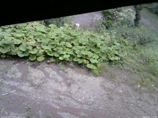 長野県菅平高原 ゆたか山荘 駐車場 2025/09/09 13:15