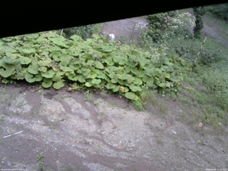 長野県菅平高原 ゆたか山荘 駐車場 2025/09/09 13:45