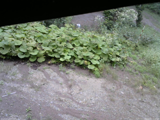 長野県菅平高原 ゆたか山荘 駐車場 2025/09/09 14:30