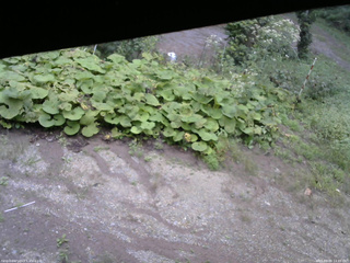 長野県菅平高原 ゆたか山荘 駐車場 2025/09/09 14:45
