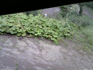 長野県菅平高原 ゆたか山荘 駐車場 2025/09/09 15:00