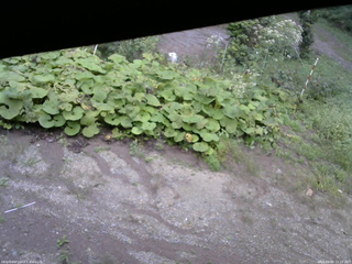 長野県菅平高原 ゆたか山荘 駐車場 2025/09/09 15:15