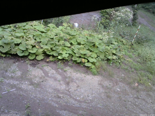 長野県菅平高原 ゆたか山荘 駐車場 2025/09/09 15:30