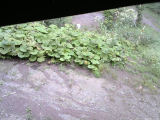 長野県菅平高原 ゆたか山荘 駐車場 2025/09/09 15:45