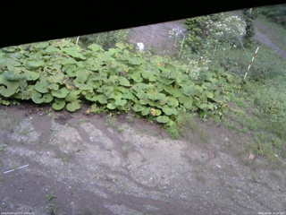 長野県菅平高原 ゆたか山荘 駐車場 2025/09/09 16:00