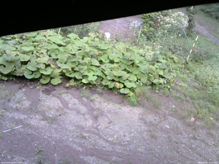 長野県菅平高原 ゆたか山荘 駐車場 2025/09/09 16:15