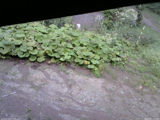 長野県菅平高原 ゆたか山荘 駐車場 2025/09/09 16:30