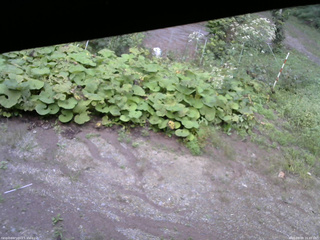 長野県菅平高原 ゆたか山荘 駐車場 2025/09/09 16:45