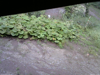 長野県菅平高原 ゆたか山荘 駐車場 2025/09/09 17:00