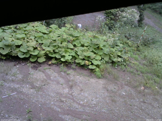 長野県菅平高原 ゆたか山荘 駐車場 2025/09/09 17:15