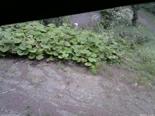 長野県菅平高原 ゆたか山荘 駐車場 2025/09/09 17:30