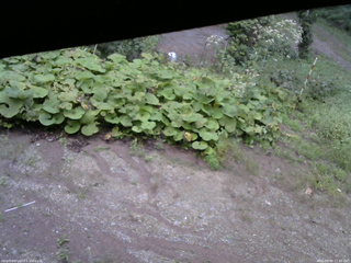 長野県菅平高原 ゆたか山荘 駐車場 2025/09/09 17:45