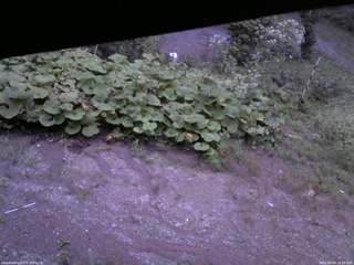 長野県菅平高原 ゆたか山荘 駐車場 2025/09/09 18:00