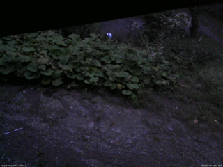 長野県菅平高原 ゆたか山荘 駐車場 2025/09/09 18:15