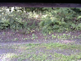 長野県菅平高原 ゆたか山荘 南側 2025/09/10 07:00