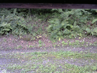 長野県菅平高原 ゆたか山荘 南側 2025/09/10 08:45