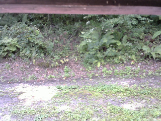 長野県菅平高原 ゆたか山荘 南側 2025/09/10 09:45