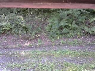 長野県菅平高原 ゆたか山荘 南側 2025/09/10 10:15