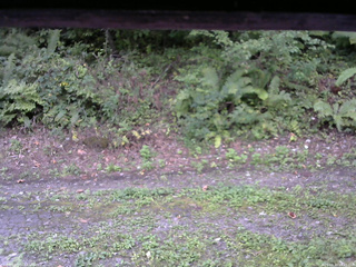 長野県菅平高原 ゆたか山荘 南側 2025/09/10 16:45