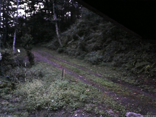 長野県菅平高原 ゆたか山荘 東側(坂下) 2025/09/10 05:15