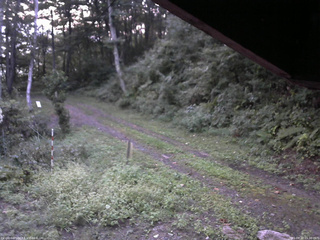 長野県菅平高原 ゆたか山荘 東側(坂下) 2025/09/10 05:30