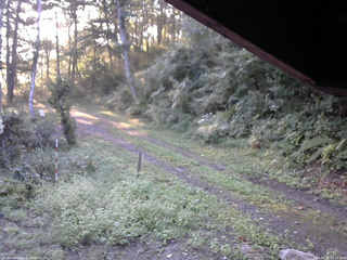 長野県菅平高原 ゆたか山荘 東側(坂下) 2025/09/10 06:15