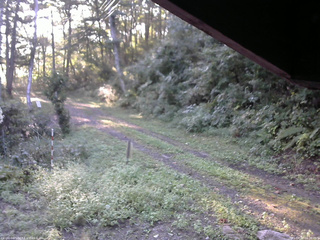 長野県菅平高原 ゆたか山荘 東側(坂下) 2025/09/10 06:30