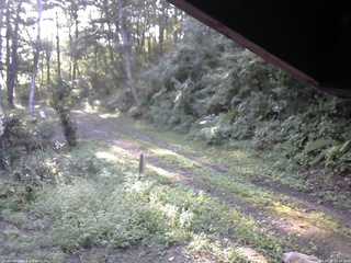 長野県菅平高原 ゆたか山荘 東側(坂下) 2025/09/10 06:45