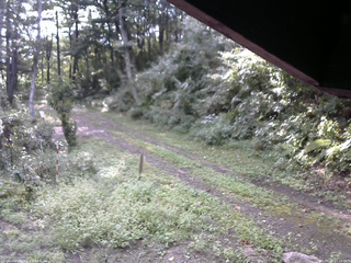 長野県菅平高原 ゆたか山荘 東側(坂下) 2025/09/10 07:15