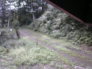 長野県菅平高原 ゆたか山荘 東側(坂下) 2025/09/10 08:00
