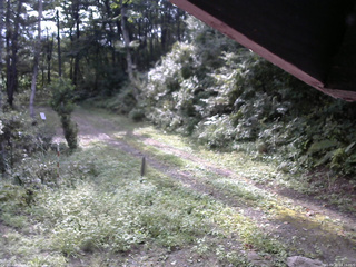 長野県菅平高原 ゆたか山荘 東側(坂下) 2025/09/10 08:15