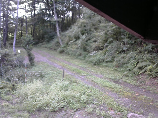 長野県菅平高原 ゆたか山荘 東側(坂下) 2025/09/10 08:45