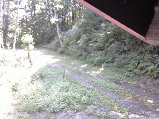 長野県菅平高原 ゆたか山荘 東側(坂下) 2025/09/10 10:00