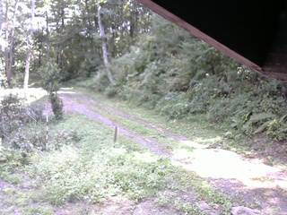 長野県菅平高原 ゆたか山荘 東側(坂下) 2025/09/10 12:00