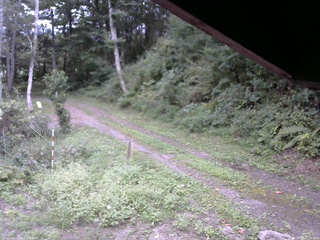 長野県菅平高原 ゆたか山荘 東側(坂下) 2025/09/10 15:00