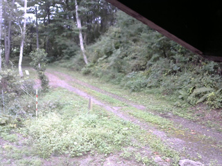 長野県菅平高原 ゆたか山荘 東側(坂下) 2025/09/10 16:00