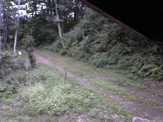 長野県菅平高原 ゆたか山荘 東側(坂下) 2025/09/10 17:30