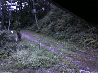 長野県菅平高原 ゆたか山荘 東側(坂下) 2025/09/10 18:00