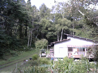 長野県菅平高原 ゆたか山荘 西側(坂上) 2025/09/10 08:15