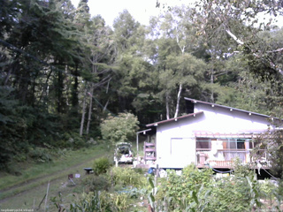 長野県菅平高原 ゆたか山荘 西側(坂上) 2025/09/10 08:30