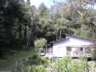 長野県菅平高原 ゆたか山荘 西側(坂上) 2025/09/10 09:15