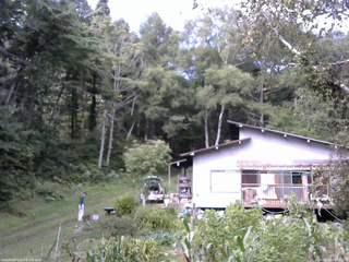 長野県菅平高原 ゆたか山荘 西側(坂上) 2025/09/10 09:30