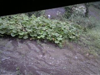 長野県菅平高原 ゆたか山荘 駐車場 2025/09/10 05:30