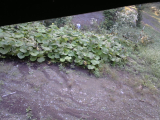 長野県菅平高原 ゆたか山荘 駐車場 2025/09/10 06:00