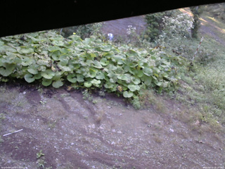 長野県菅平高原 ゆたか山荘 駐車場 2025/09/10 06:15